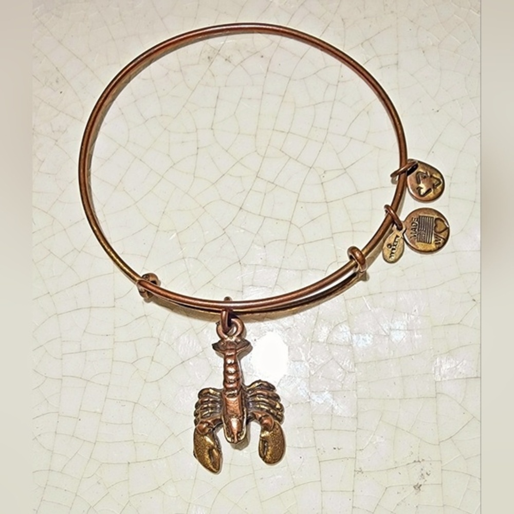 Alex and Ani Scorpion Charm Copper Tone Wire Bangle